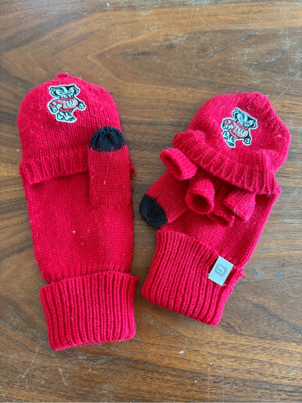 Wisconsin Bucky the Badger Mittens!